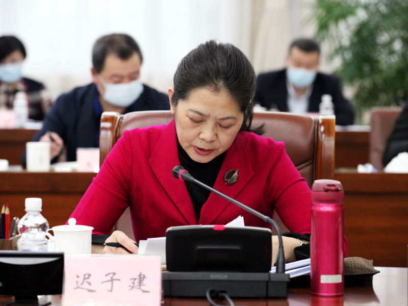 8、省政协副主席迟子建列席会议并发言.jpg
