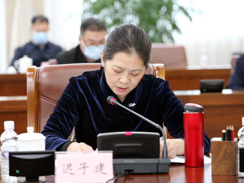 10、省政协副主席迟子建列席会议并发言.jpg 10、省政协副主席迟子建列席会议并发言.jpg