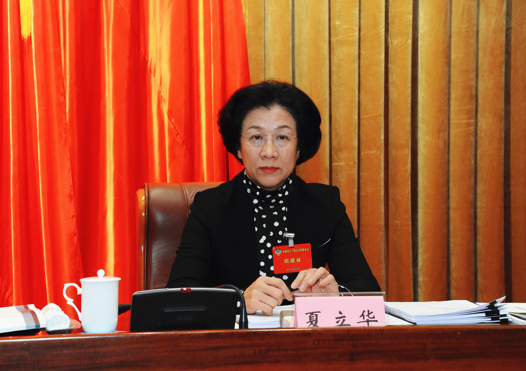 11省政协秘书长夏立华出席会议.jpg
