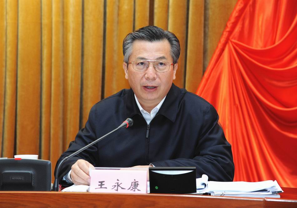2省委常委、副省长王永康作有关情况报告.jpg