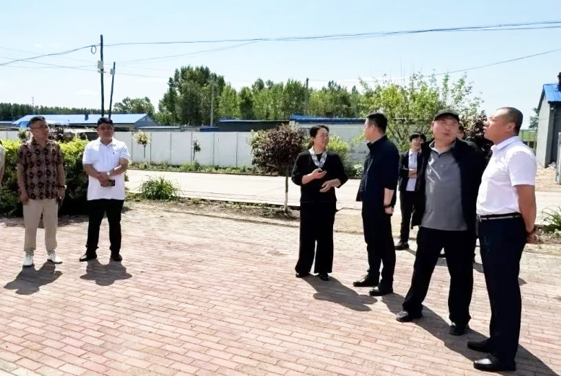 微信图片_20250623095614.png